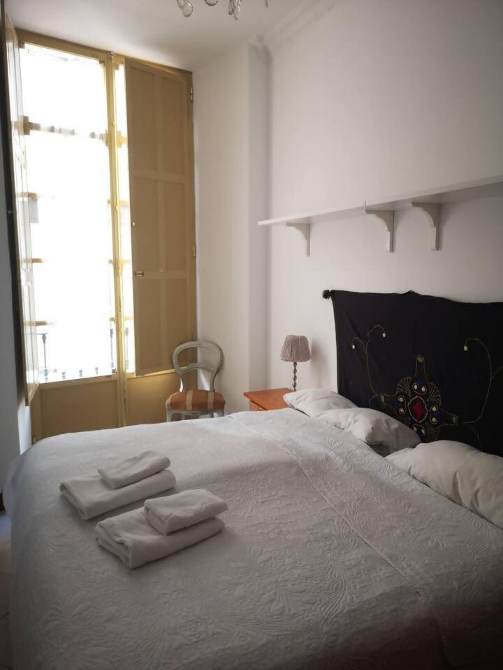 Centro De Fernan Gonzalez Appartement *